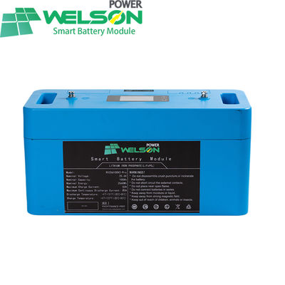 Deep Cycle Lifepo4 Battery 12V 100ah 120ah 150 250ah BMS For Car RV E Bike Electric